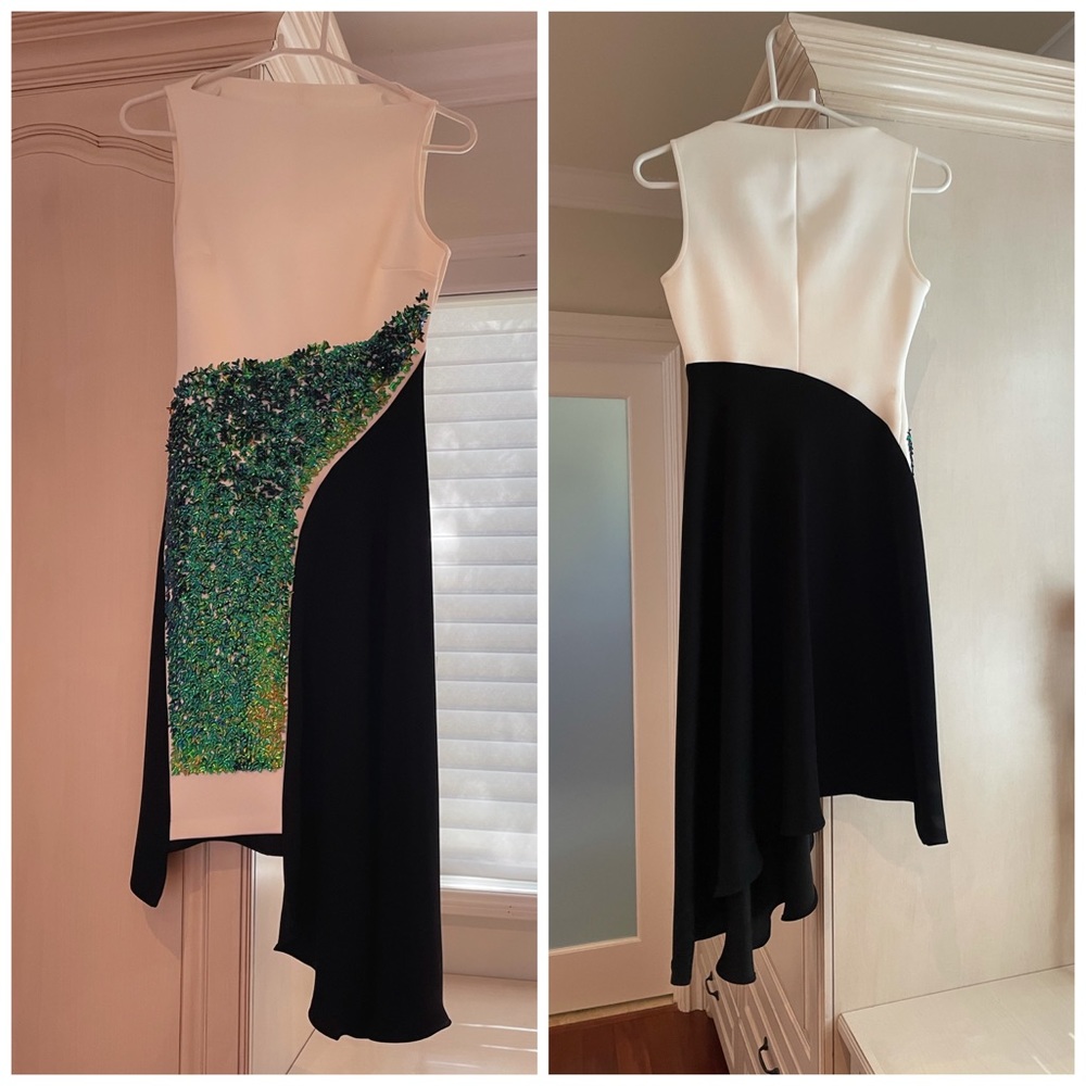 Clover canyon dress